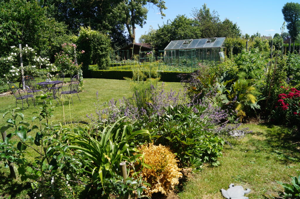 Image du jardin