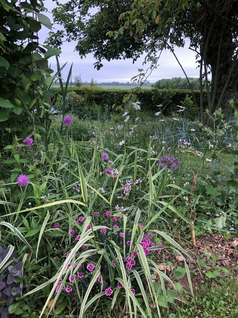 Image du jardin