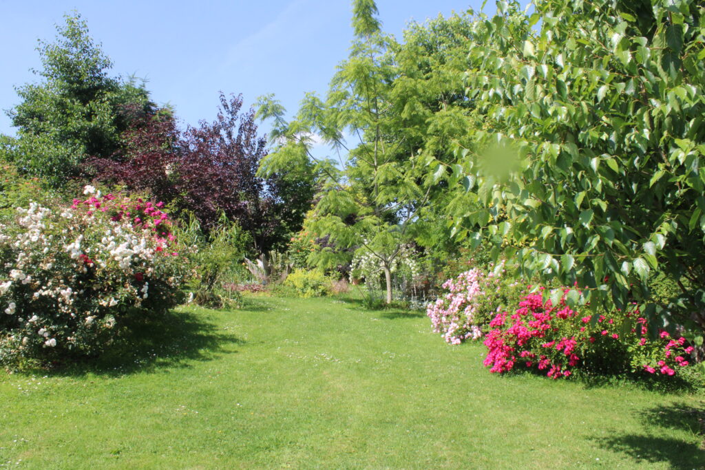 Image du jardin