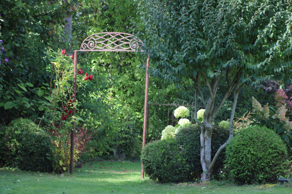 Image du jardin