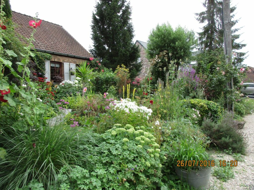 Image du jardin
