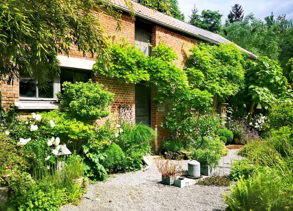 Image du jardin