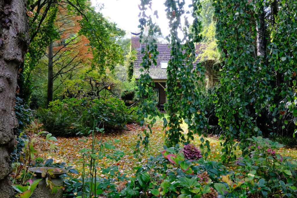 Image du jardin