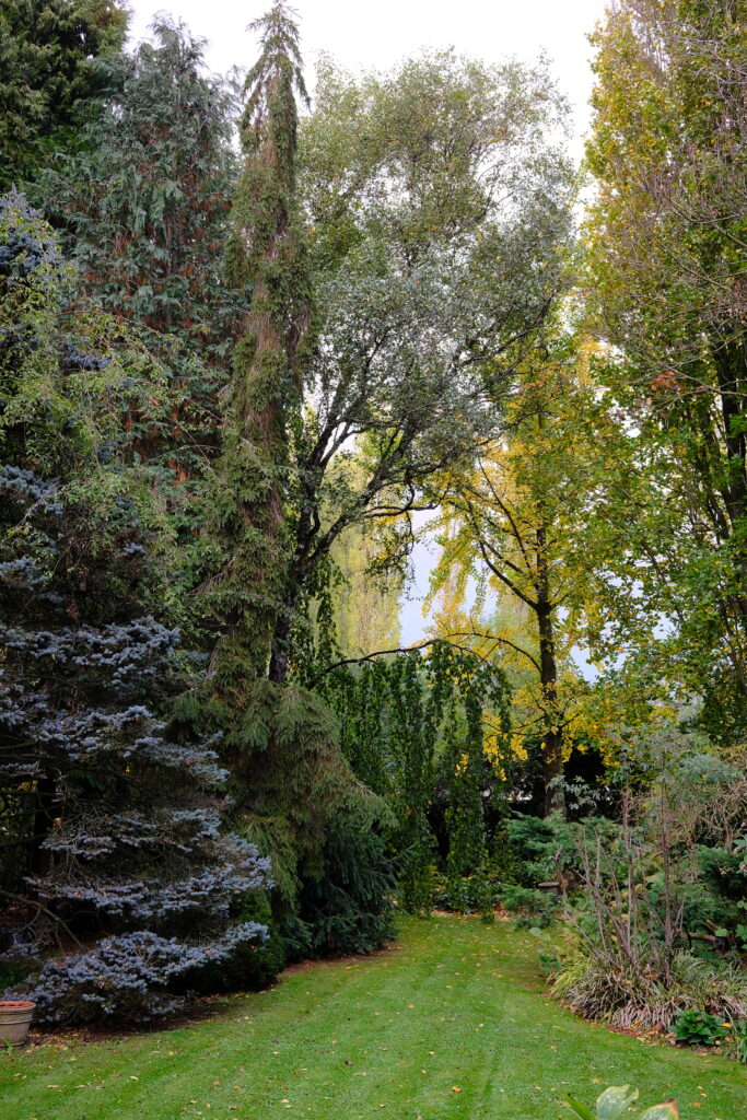 Image du jardin