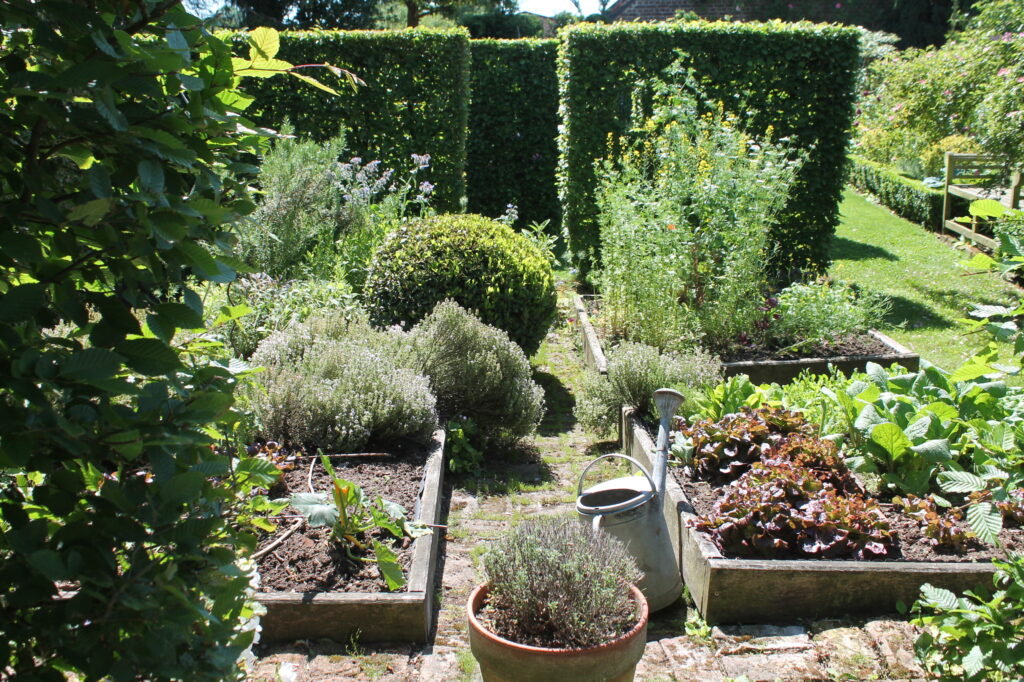 Image du jardin