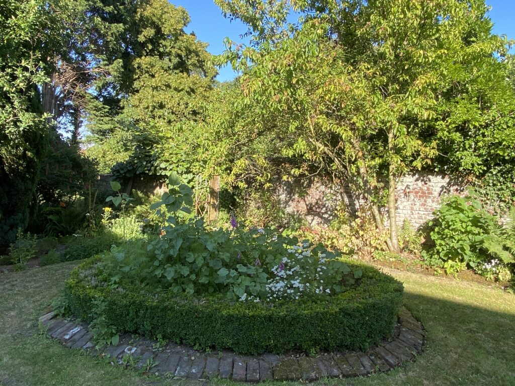 Image du jardin