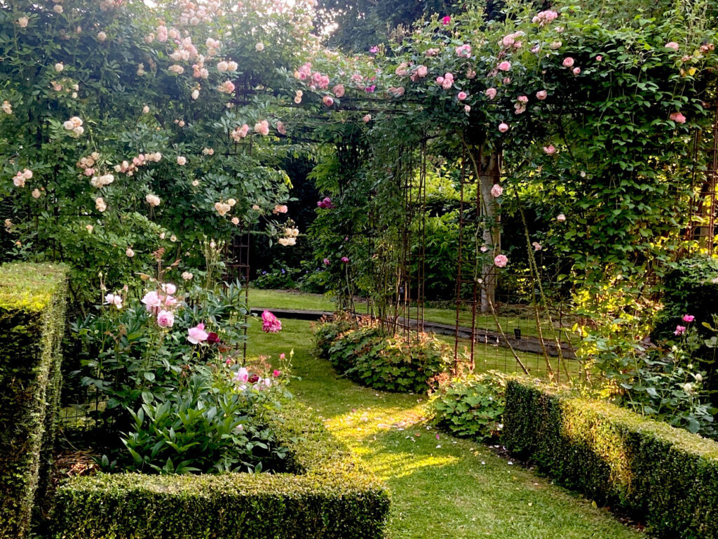 Image du jardin