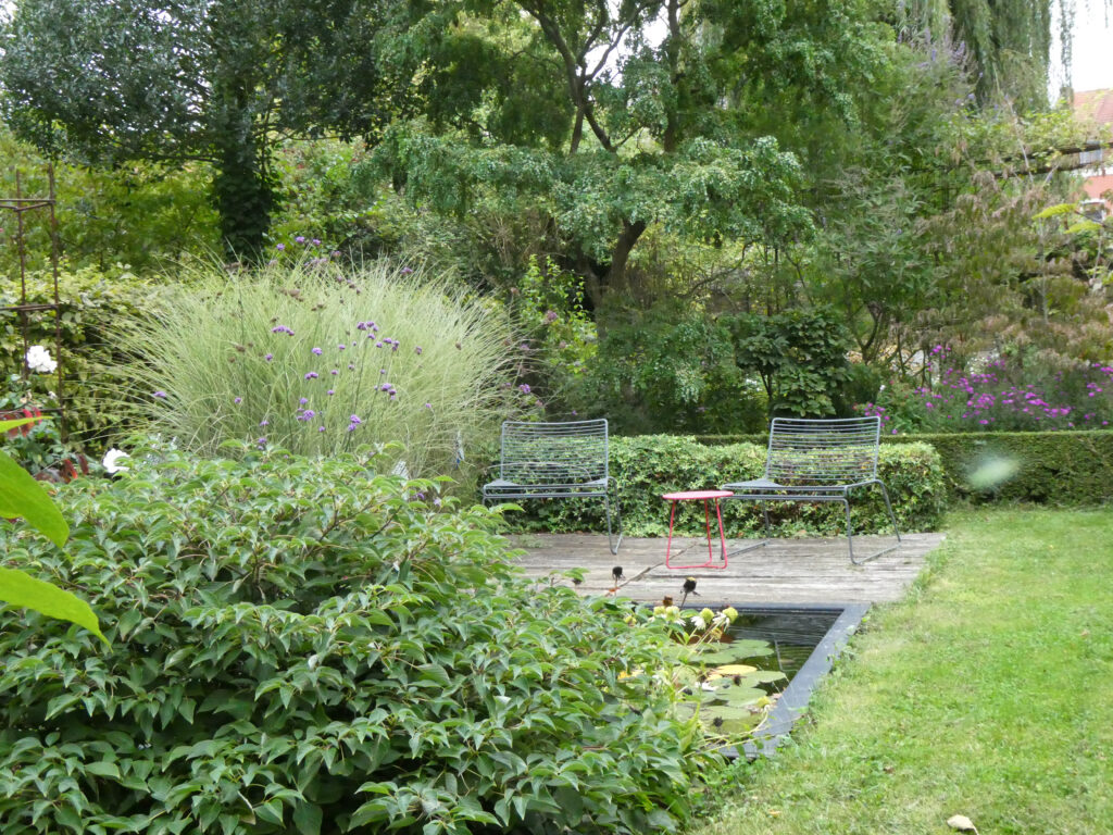 Image du jardin