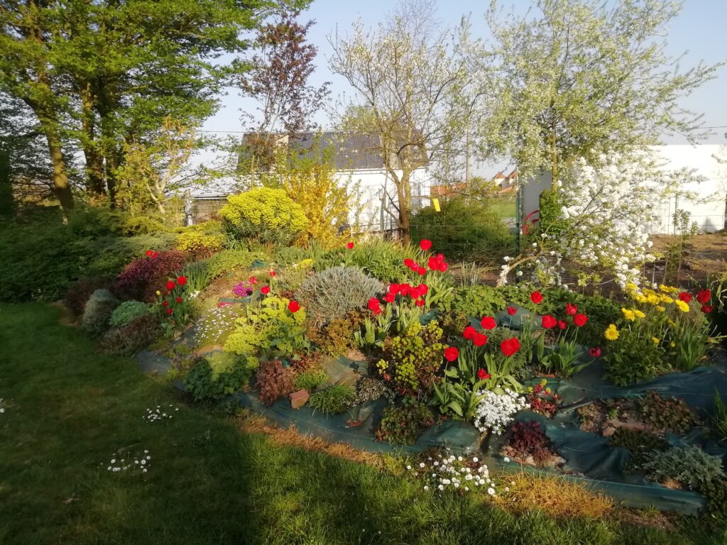 Image du jardin