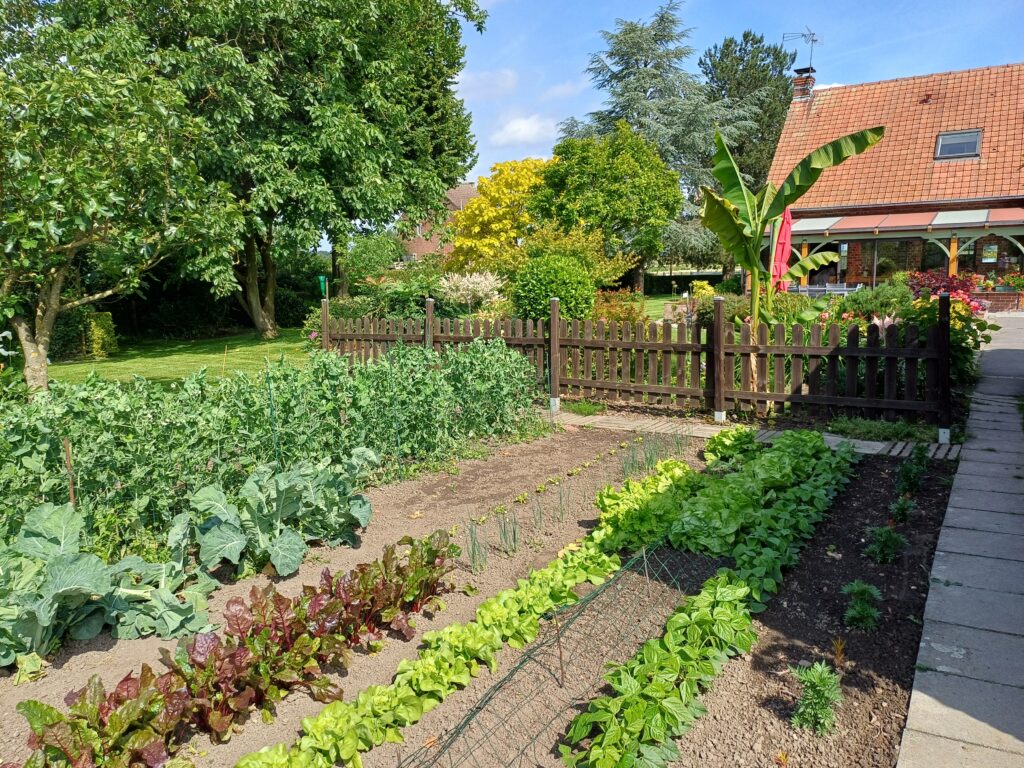 Image du jardin