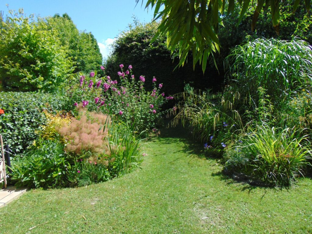 Image du jardin