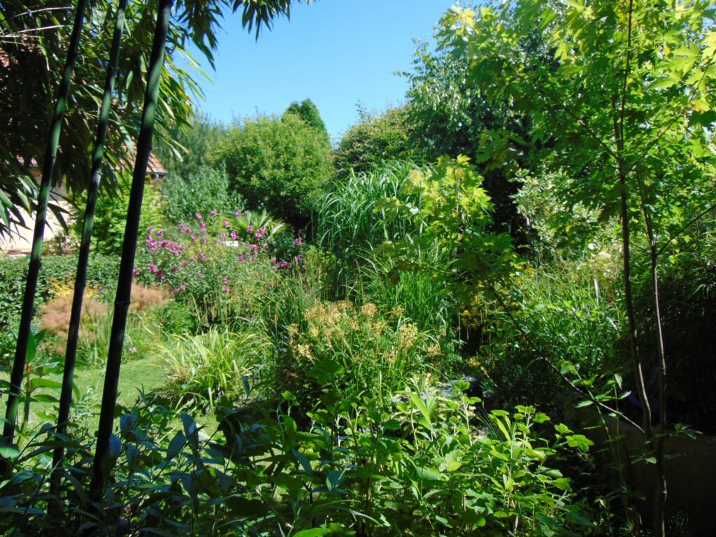 Image du jardin