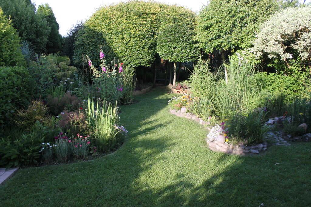 Image du jardin