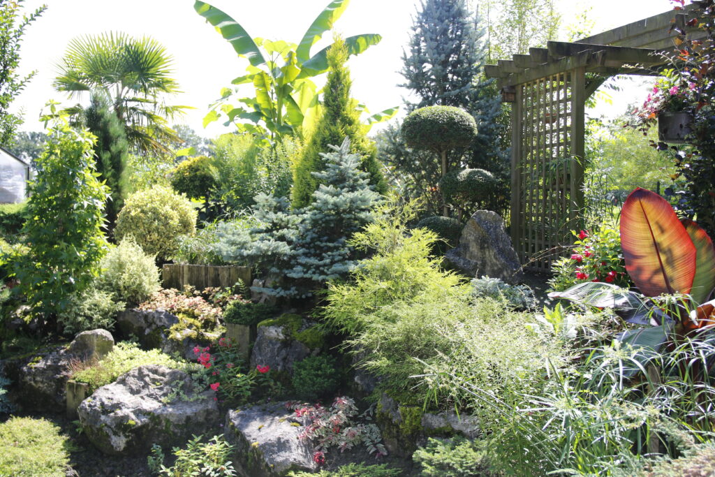 Image du jardin