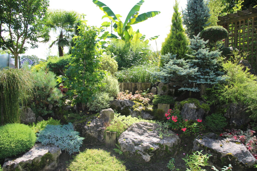 Image du jardin