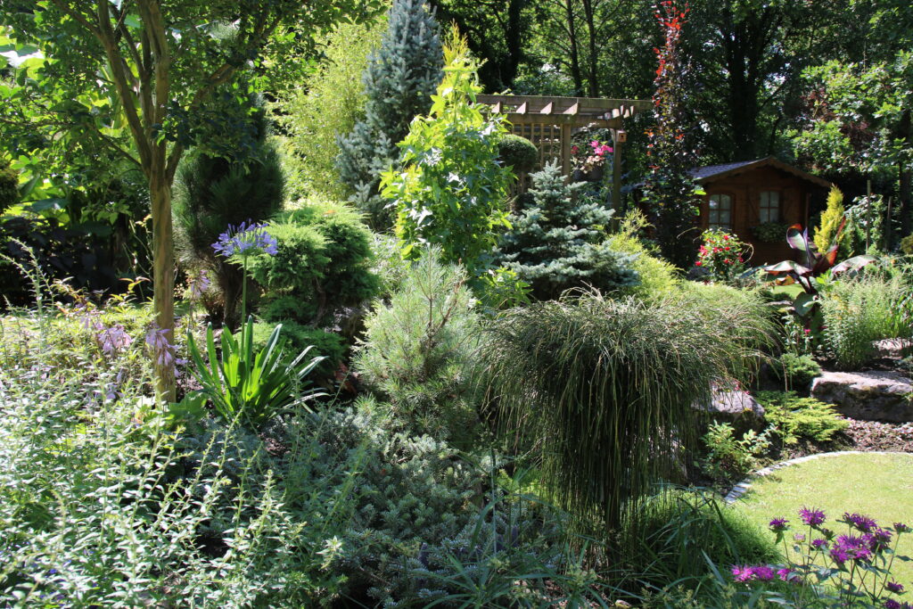 Image du jardin