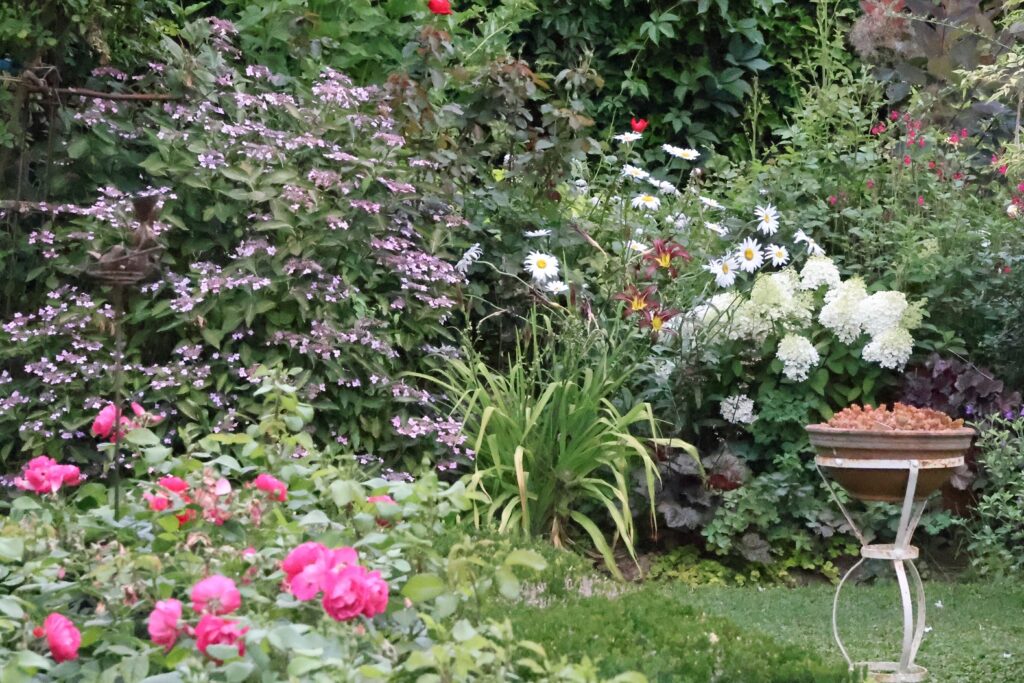Image du jardin