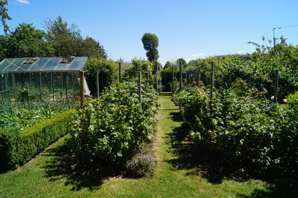 Image du jardin