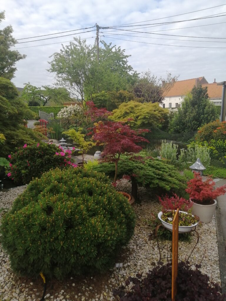 Image du jardin