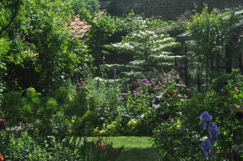 Image du jardin