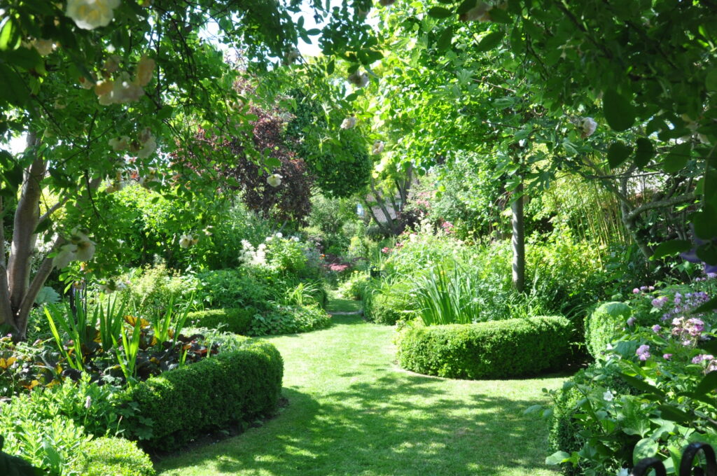 Image du jardin