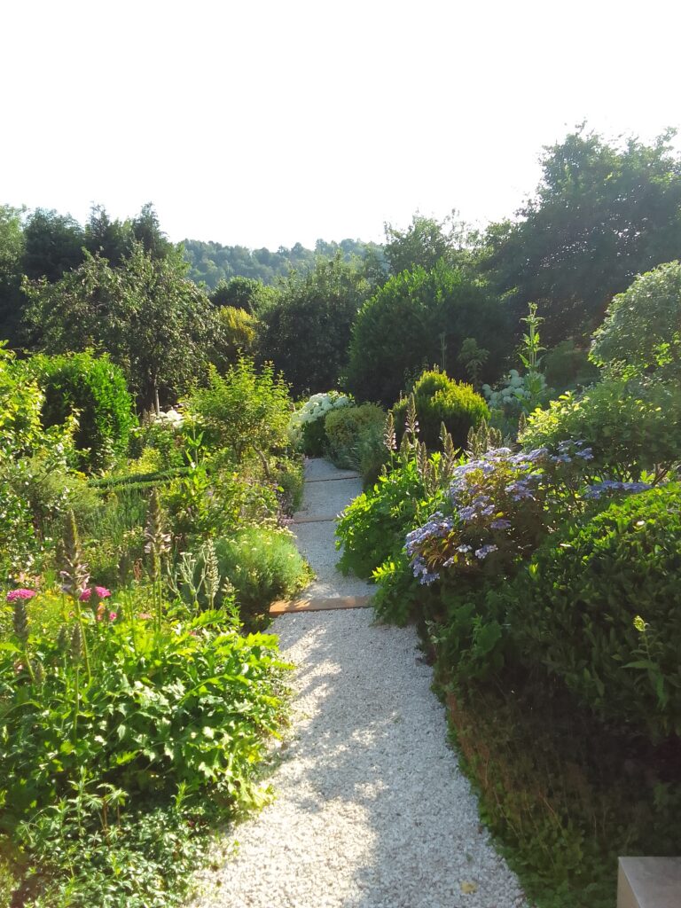 Image du jardin