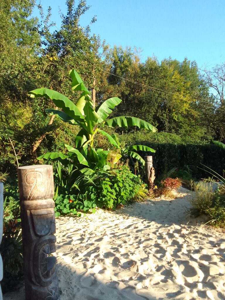 Image du jardin