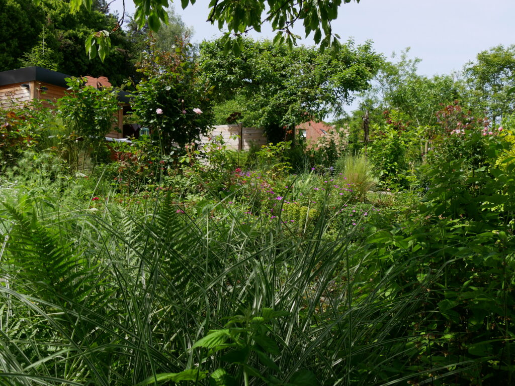 Image du jardin